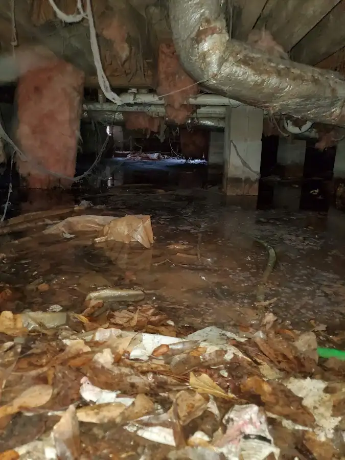 Crawl space flood assessment for Leak Detection & Repair in North Hobbs